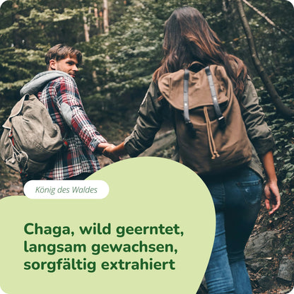 Chaga Extrakt Kapseln Bio