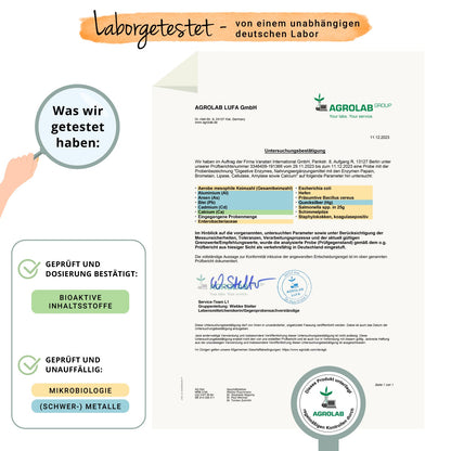 Digestive Enzymes Complex Kapseln