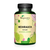 Boswellia Extrakt Kapseln
