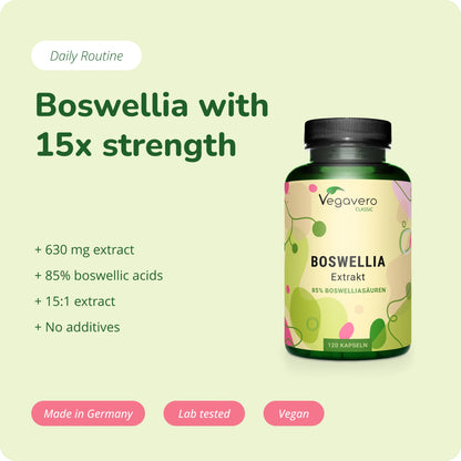 Boswellia Extrakt Kapseln