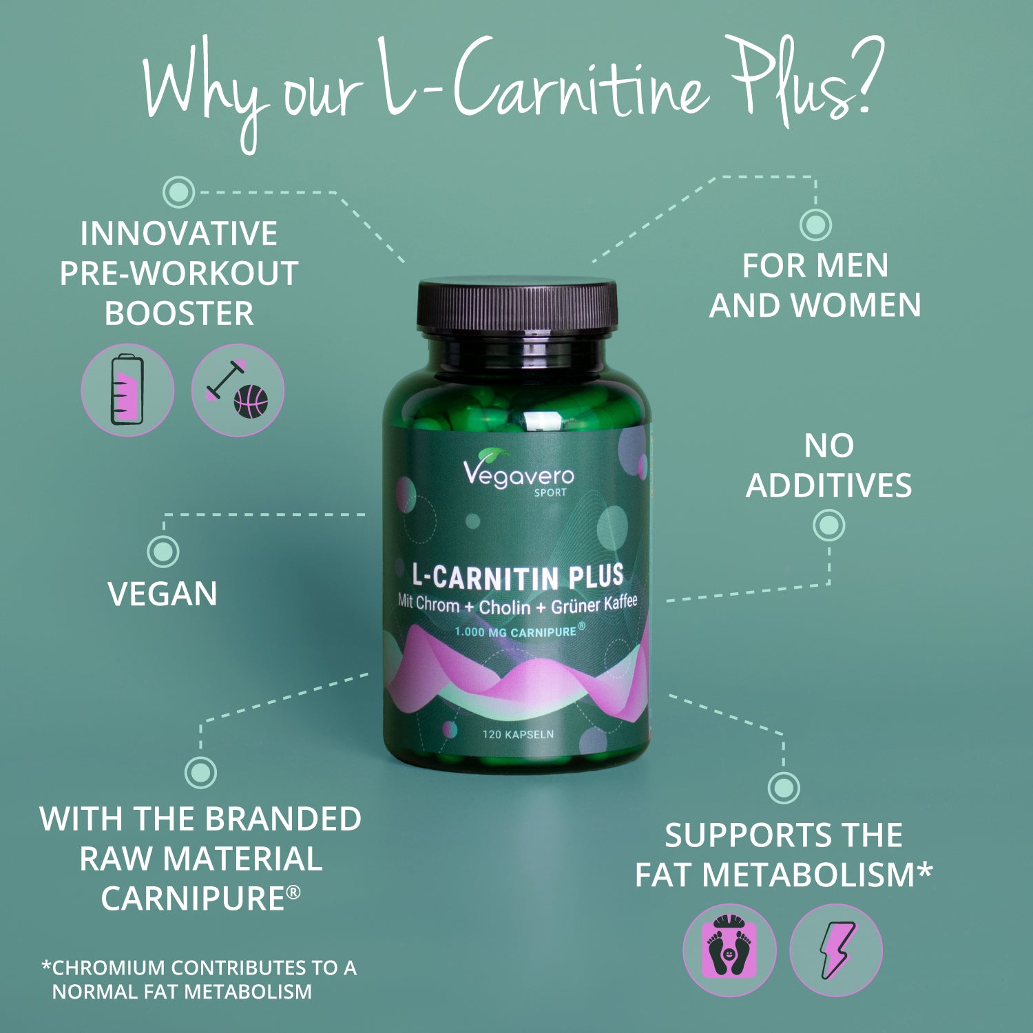 L-Carnitin Plus Kapseln