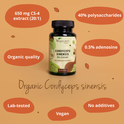 Cordyceps Sinensis Extrakt Kapseln Bio
