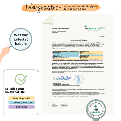 Cordyceps Sinensis Extrakt Kapseln Bio