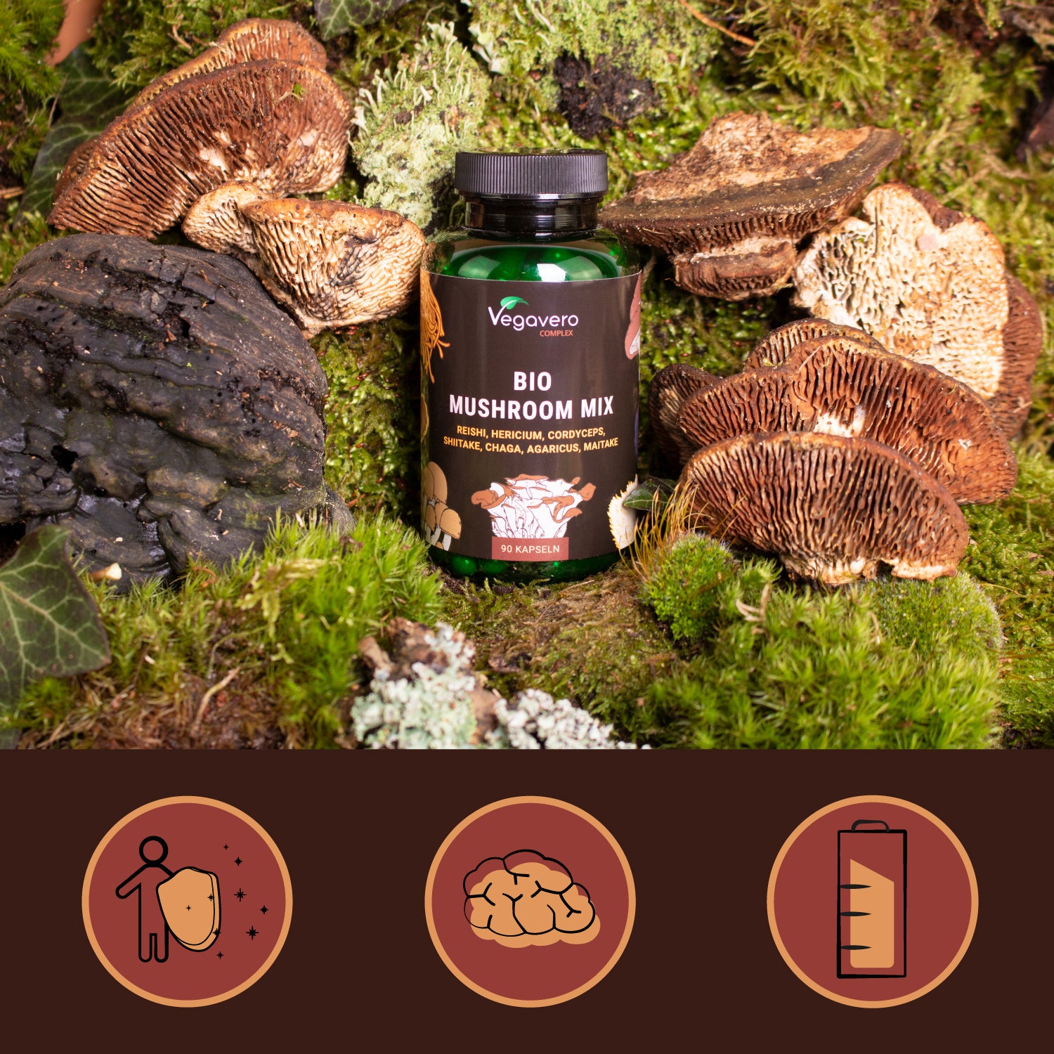 Mushroom Complex Kapseln Bio