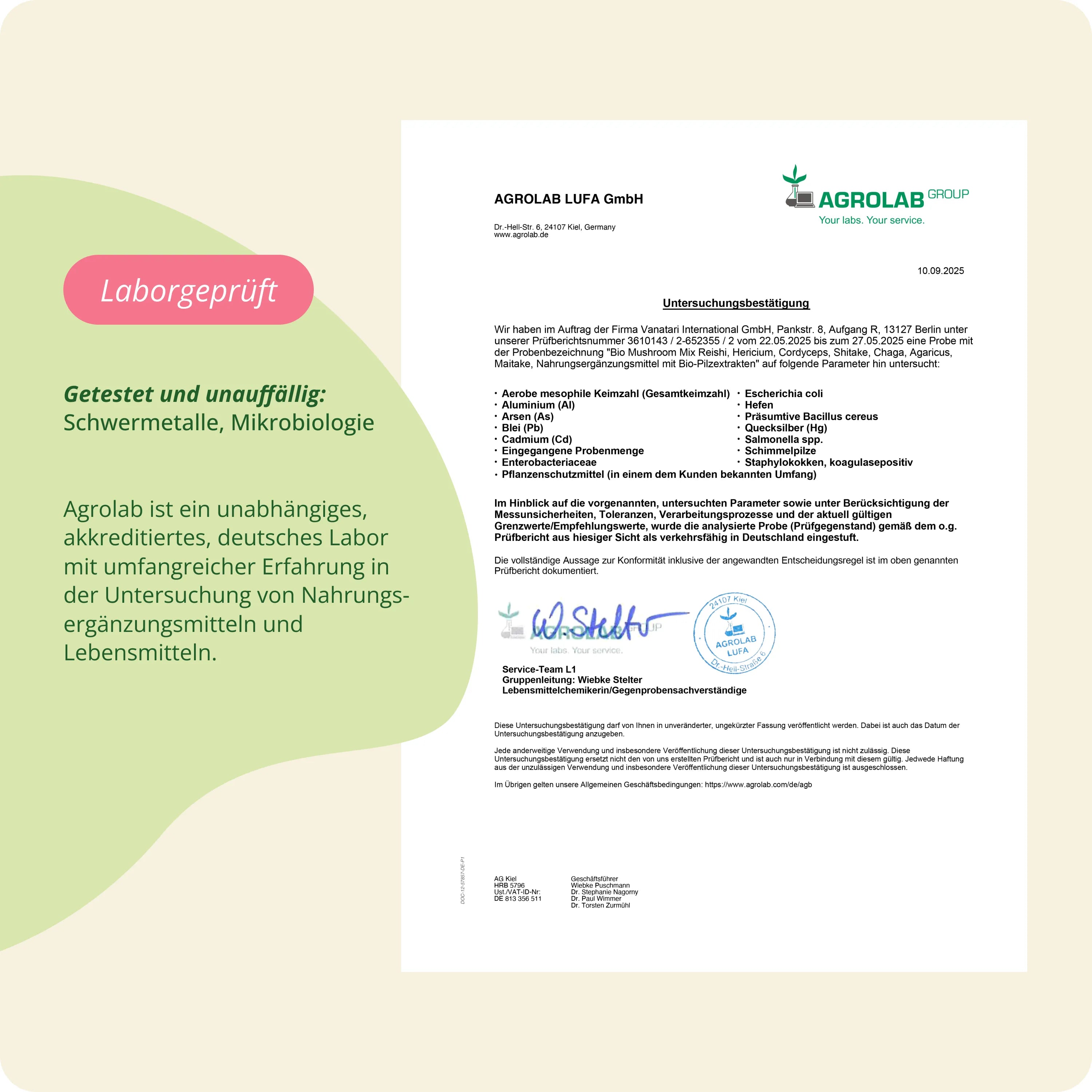 Mushroom Complex Kapseln Bio