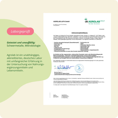 Mushroom Complex Kapseln Bio