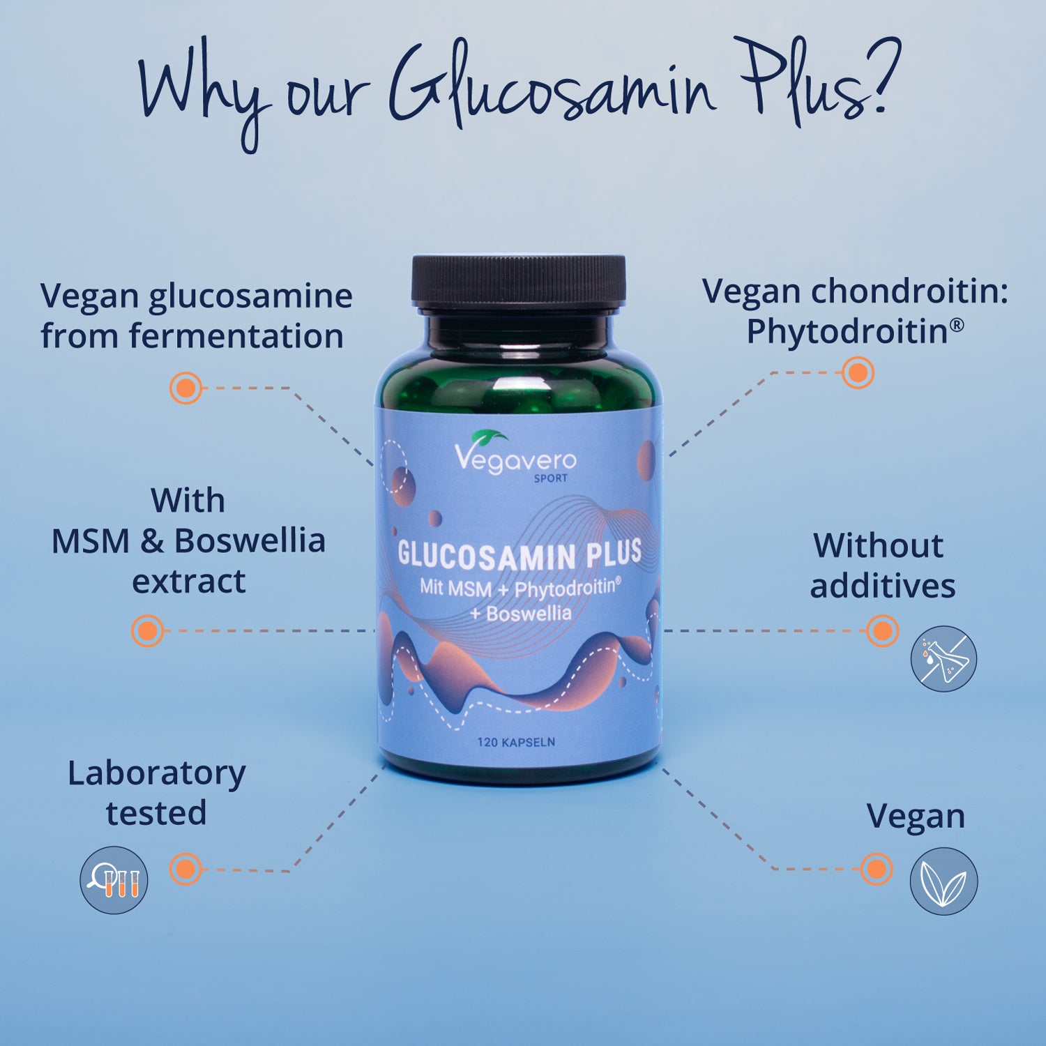 Glucosamin Plus Kapseln