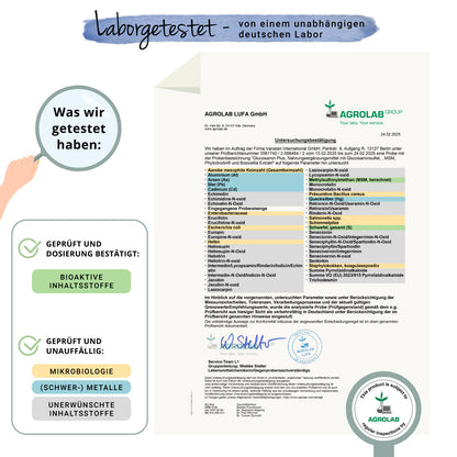 Glucosamin Plus Kapseln