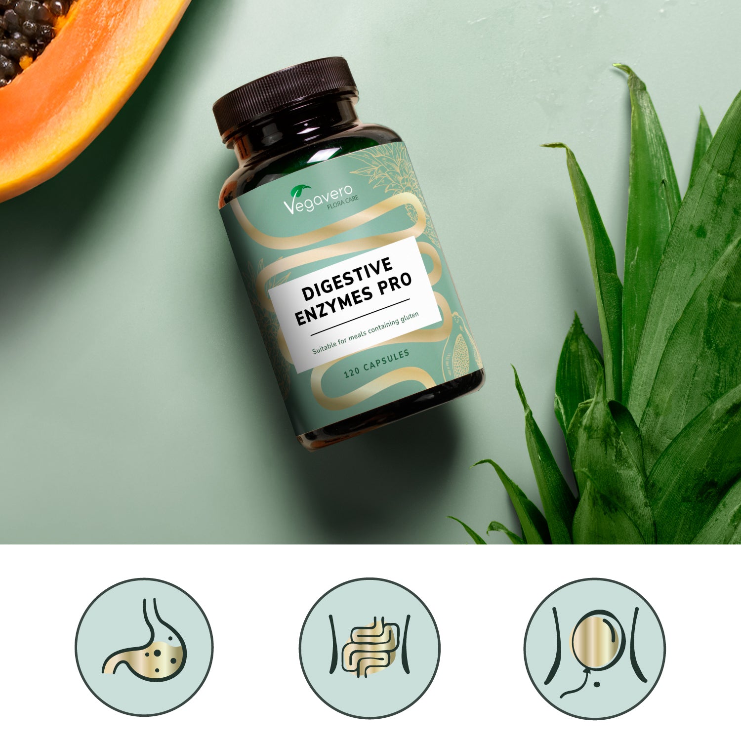 Digestive Enzymes Pro Kapseln