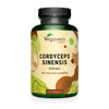 Cordyceps Sinensis Extrakt Kapseln