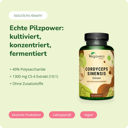 Cordyceps Sinensis Extrakt Kapseln