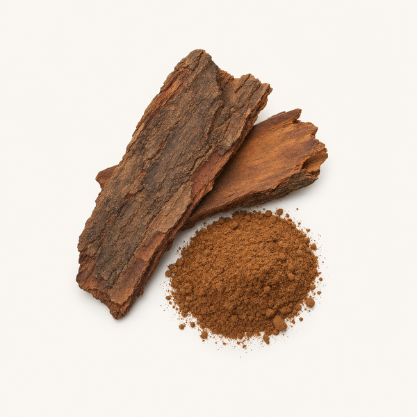 Afrikanischer Kirschbaum‑Rinden-­Extrakt (10 % Sterole)