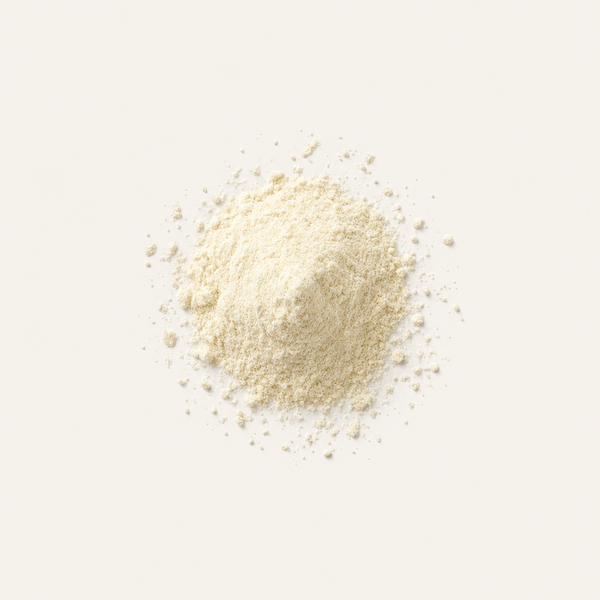 Bakterienkultur-Mischung (Youth Biotics)