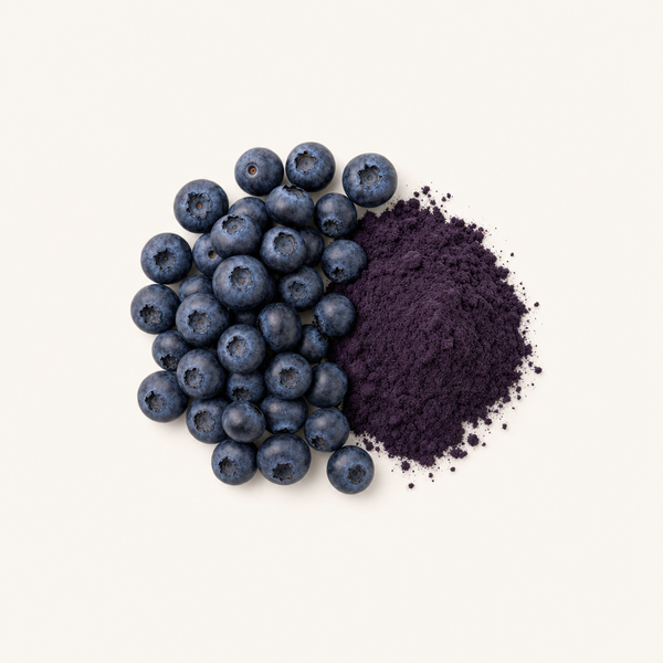 Heidelbeerfruchtextrakt 25%
