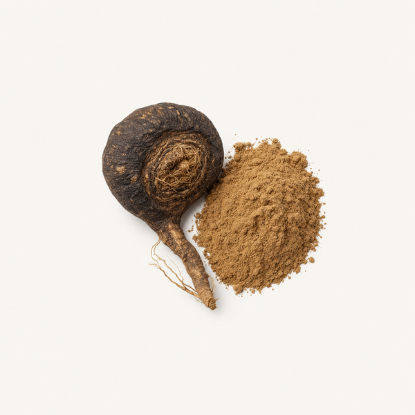 Schwarzer Maca-Extrakt 0,6 % Macamide und Macaene