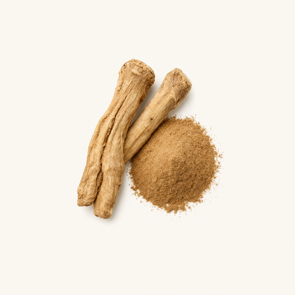 Chicorée (Cichorium intybus var. sativum) Wurzelextrakt 2 % Flavone