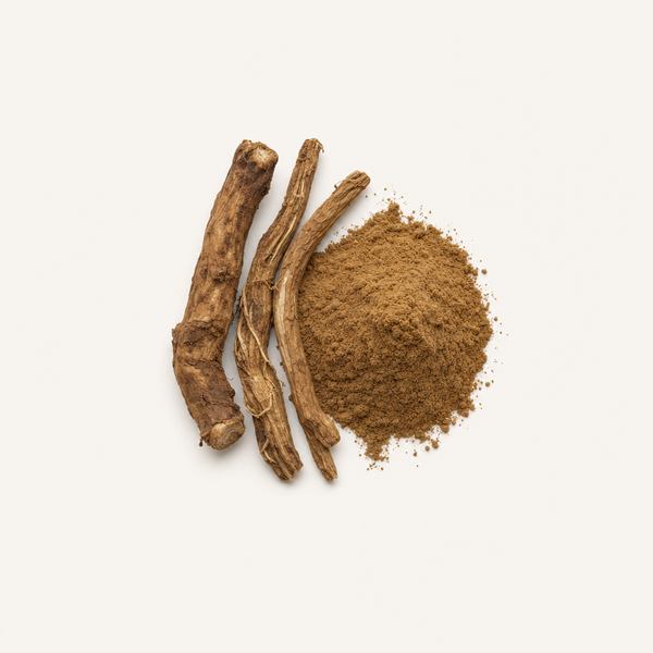 Löwenzahn (Taraxacum officinale) Wurzelextrakt 2 % Flavone