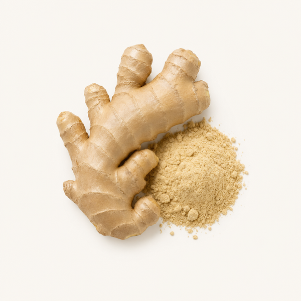 Ingwer (Zingiber officinale) Rhizom-Extrakt 5% Gingerole