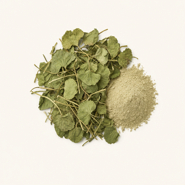 Gotu Kola Luftteil Extrakt 2%