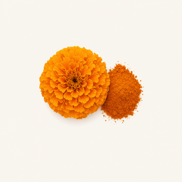 Ringelblumenextrakt (XanMax®)