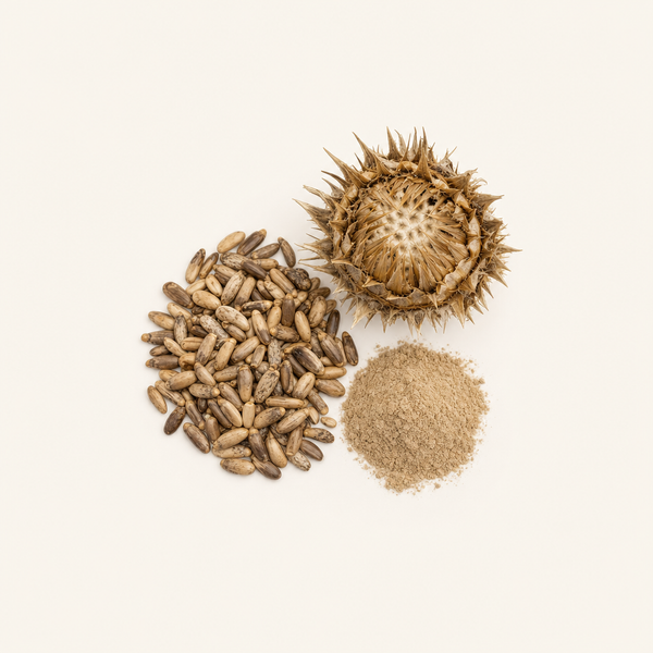 Mariendistel Fruchtextrakt 80%