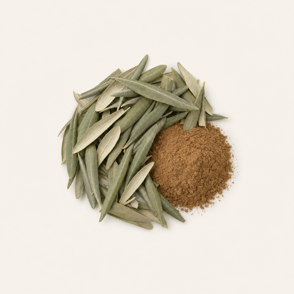 Olivenblattextrakt (40 % Oleuropein)
