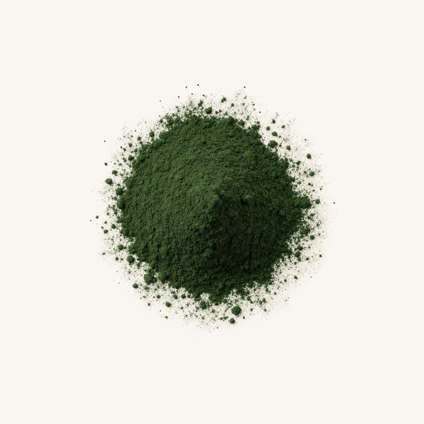 Bio Chlorella Pulver