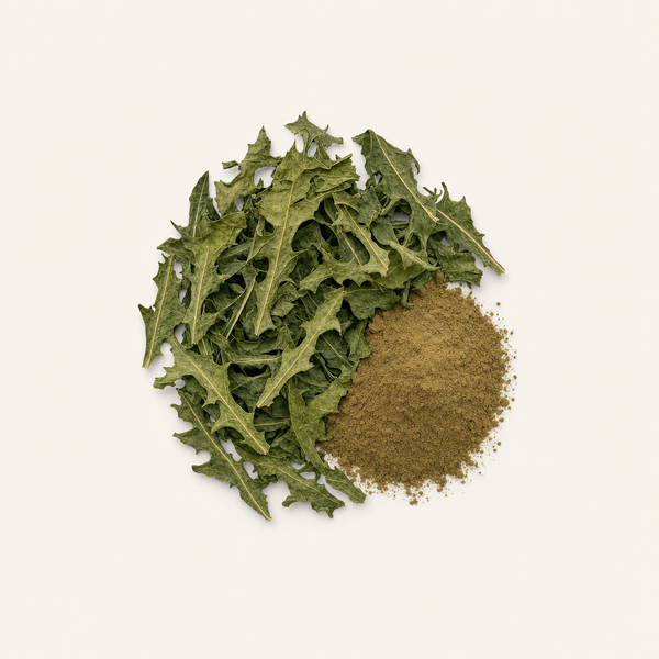 Bio Löwenzahnblattextrakt (3 % Chlorogensäure)