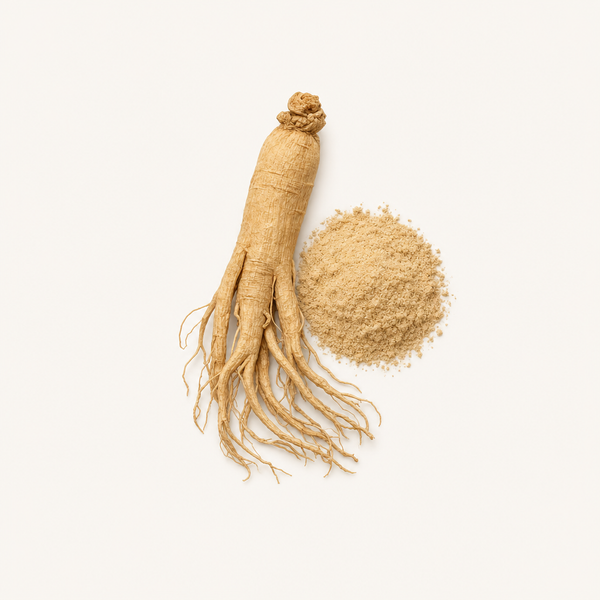 Panax-Ginseng-Extrakt 20 % Ginsenoside