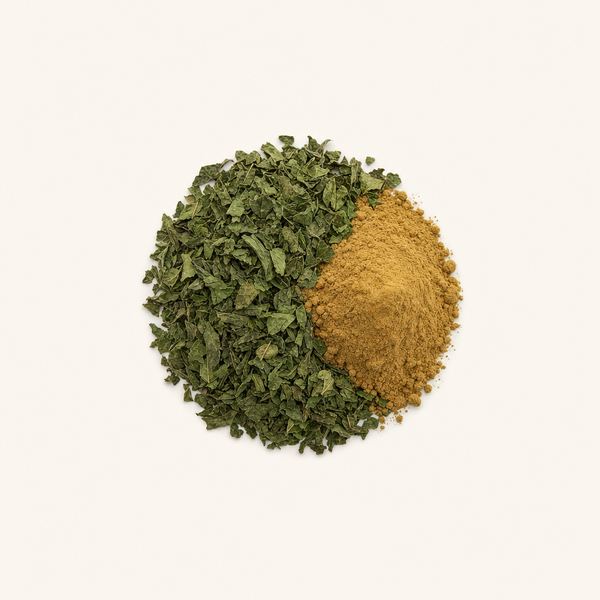 Pfefferminz (Mentha canadensis L.) Kräuterextrakt