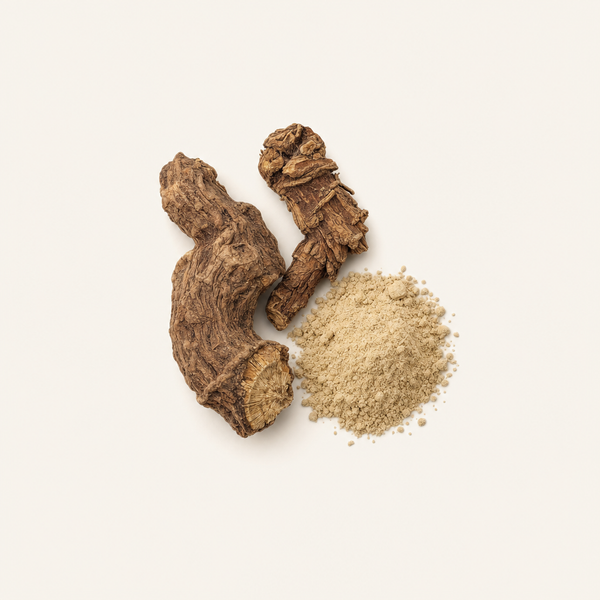 Rhodiola rosea Wurzelextrakt - Rhodiolife®