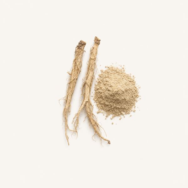 Brennnessel (Urtica dioica) Wurzelextrakt 1 % Beta‑Sitosterol (HPLC)