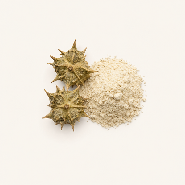 Tribulus-Terrestris-Extrakt 90 % Saponine